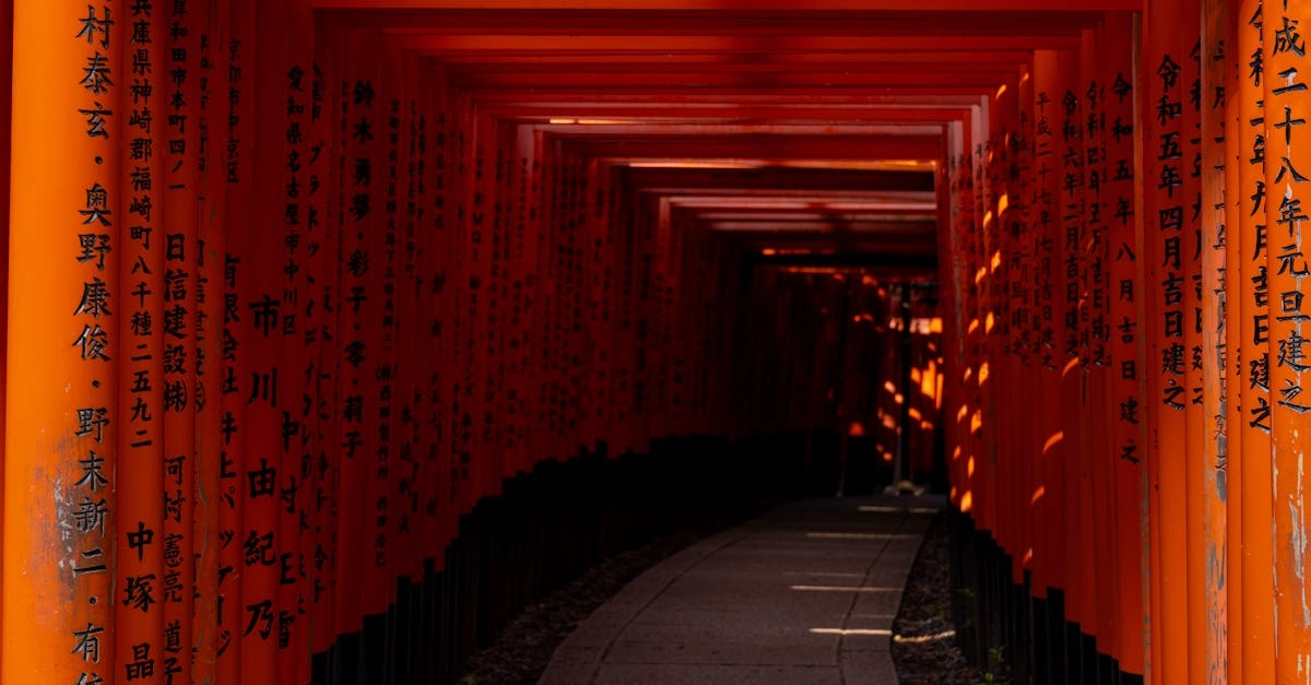 Систематический анализ слот игры Gates of Olympus структура механика